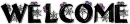 Welcome  (Halloween Spiders)