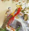 peacock