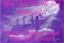 Love The Lord