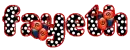 ladybugs fayeth