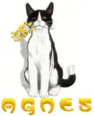 Agnes - flower cat