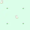 bunny