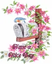 Nice Day