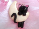cutie cat!