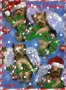 YORKIES