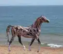 Drift wood horse
