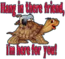 Hang in there turtle