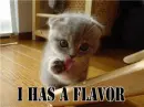 i has a flavour