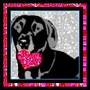 Love Dog
