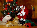 Christmas Scene