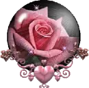 Pink Rose