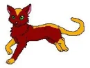 Tanglepaw