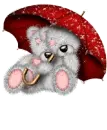 Bears