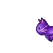 cat and stars