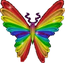 Rainbow Butterfly