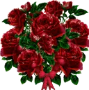 red rose bouquet