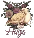 hugs [bird]