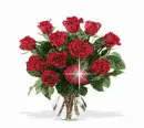 Red Roses