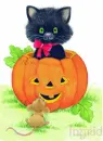 Cat-Pumpkin-Ingrid