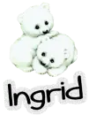 Ingrid -Polar Bears