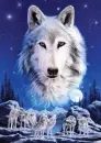 Wolf Night
