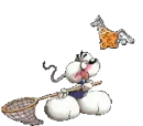 diddels traying to catch angel cheese