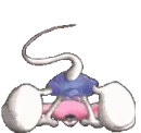 diddles up side down