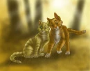 Sandstorm and Firestar