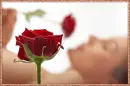Red Rose