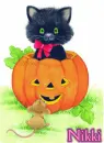 cat-pumpkin