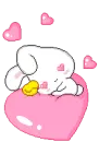 Bunny
