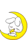 Bunny sleep