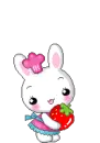 Bunny sweet