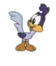 roadrunner