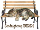Good Nite My Friend