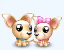 kawaii chiwawas in love