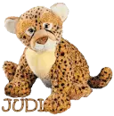 JUDI CHEETAH