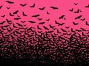 pink bats