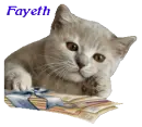 Fayeth