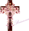 Brianna-cross