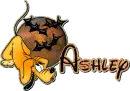 Ashley