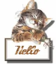 Hello