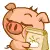pig bag
