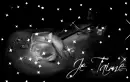 Je t'aime