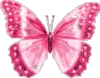 pink butterfly