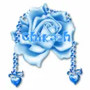 Blue Rose