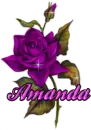 Amanda