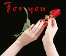 For you - single red rose