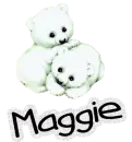 Polar bear- Maggie