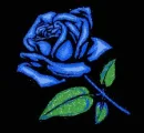 BLUE ROSE